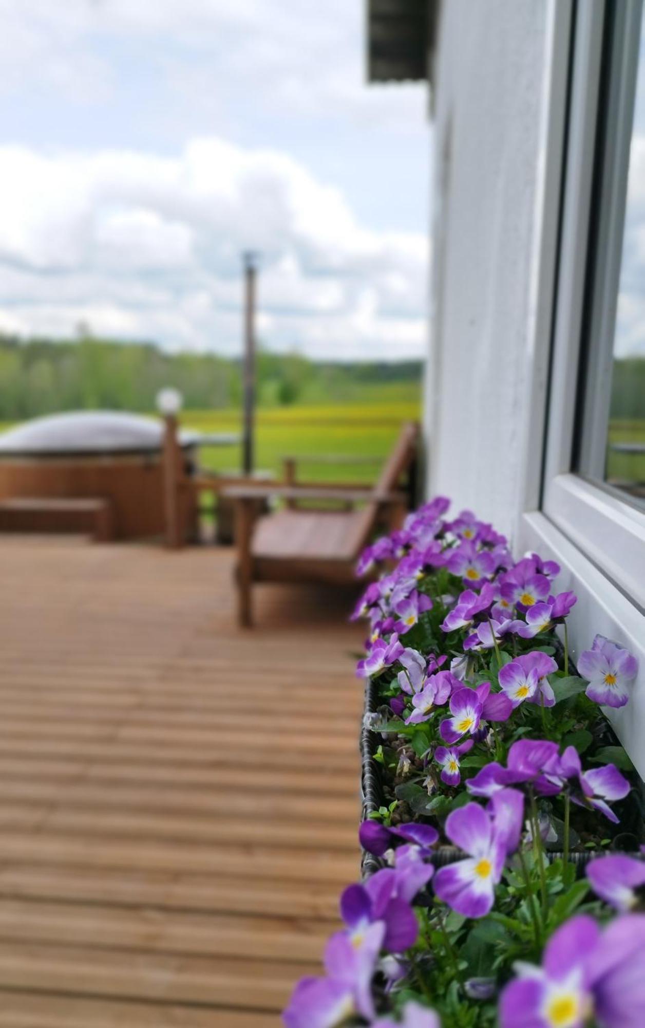 Guesthouse, Sauna & Jacuzzi In Gauja Valley - Kakukalns Straupe Extérieur photo